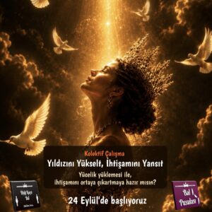 Kolektif Frekans Çalışması