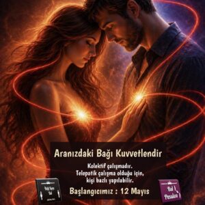 Kolektif Frekans Çalışması